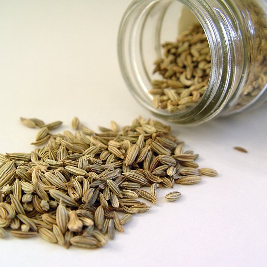 Fennel seeds01