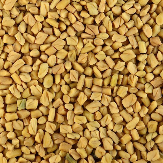 Fenugreek Seeds02