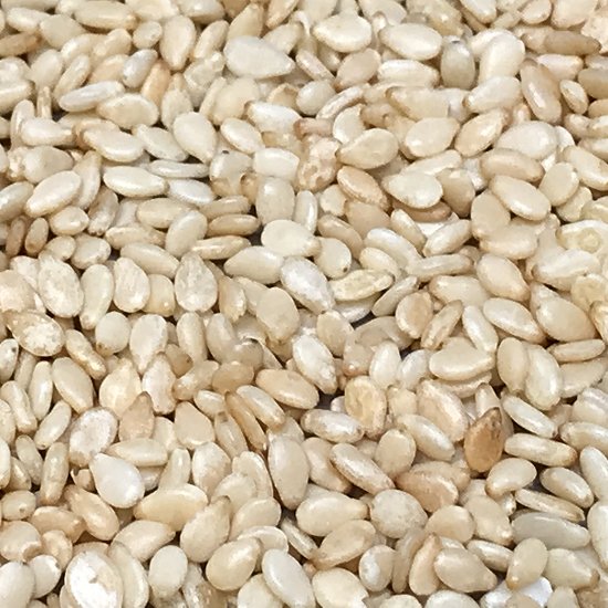 Sesame Seeds02